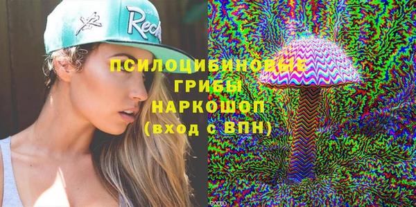 индика Красноперекопск