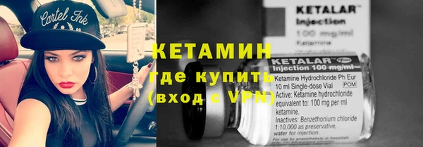 твердый Краснослободск