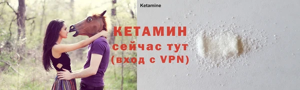 твердый Краснослободск