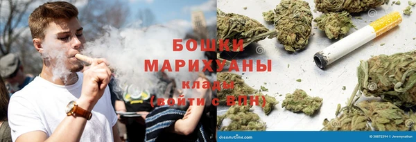 индика Красноперекопск