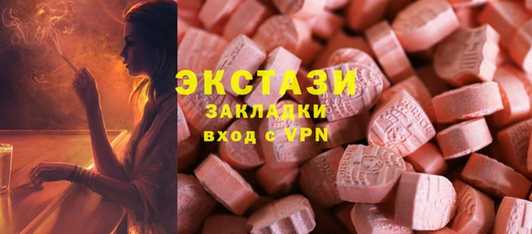 твердый Краснослободск